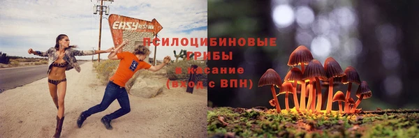 PSILOCYBIN Дмитровск