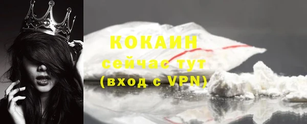 эйфоретик Дмитров