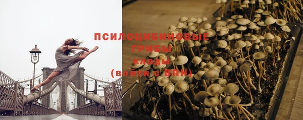 PSILOCYBIN Дмитровск