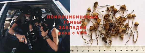 трава Дмитриев