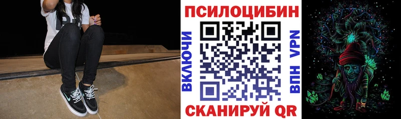 купить   Ирбит  Псилоцибиновые грибы Psilocybe 
