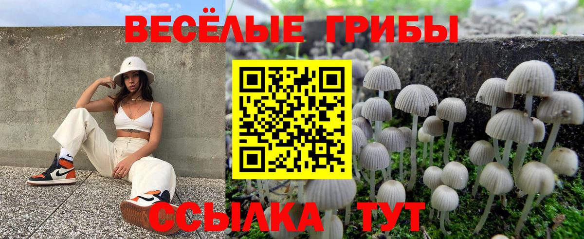 Галлюциногенные грибы прущие грибы  наркошоп  Ирбит  Галлюциногенные грибы Magic Shrooms 