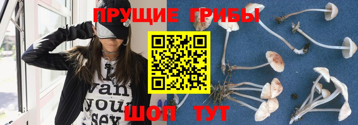 Ирбит  Псилоцибиновые грибы мухоморы  Галлюциногенные грибы Psilocybe  Вход с VPN 